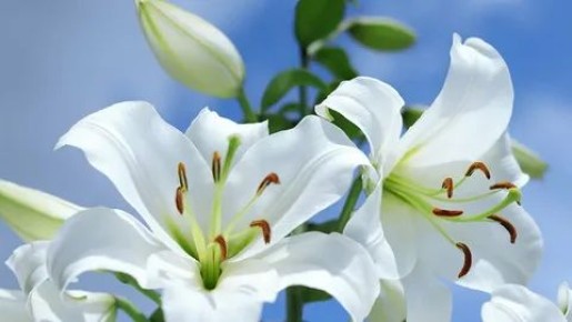 ����� � ����� ����: �� ������ �������� �� ���������� ��������!