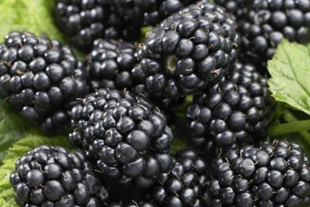 �������: ����� ����� ��������� � ����������� �������