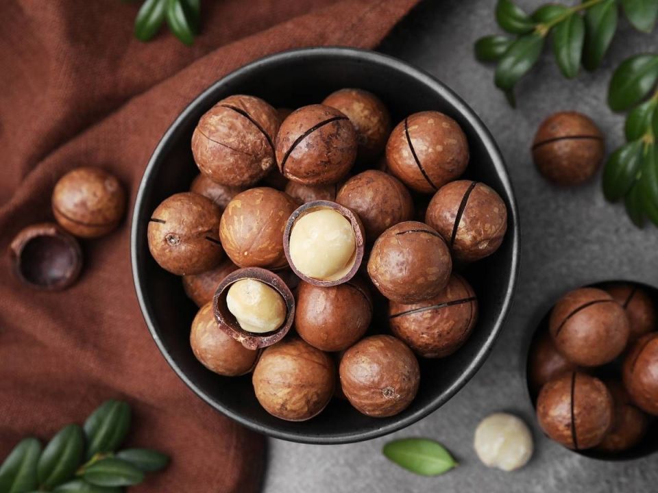 ���������: ������ ������� ������� � ��������