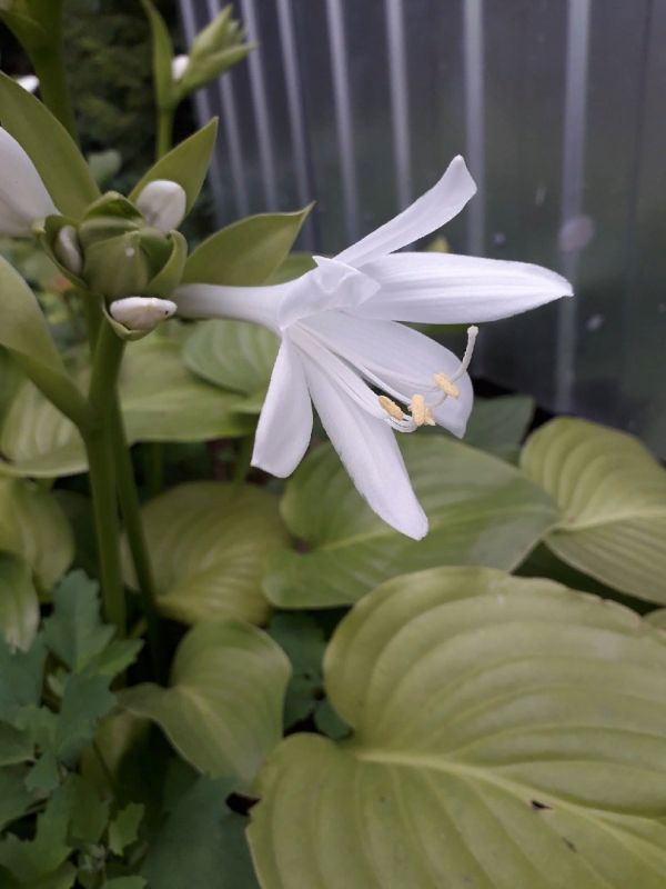 ����� �� ��������� � �����: ����� ������ ����������