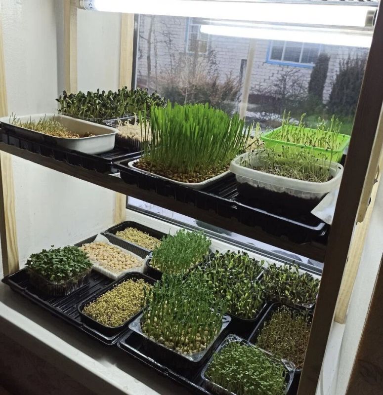 ���������: ������ ����� ��� ��������� ����� ����� � �������� ����