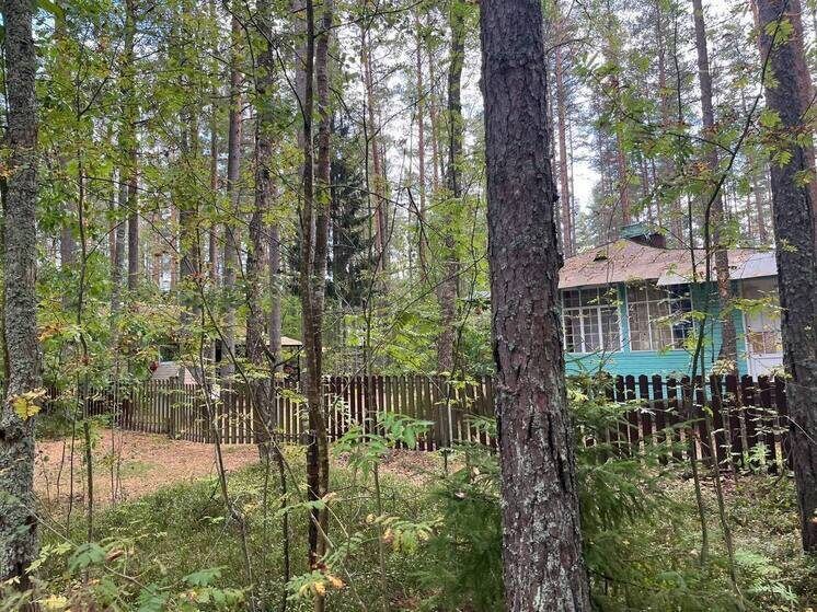 ������ ��������: ��� ����������� ���� � ��������� ������