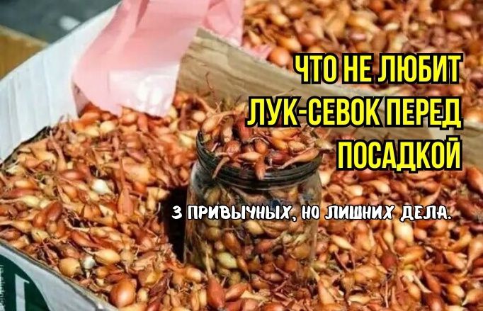 ������ � ������� ������� ����-�����: ��� ����� ��������, ����� �� �������� ������