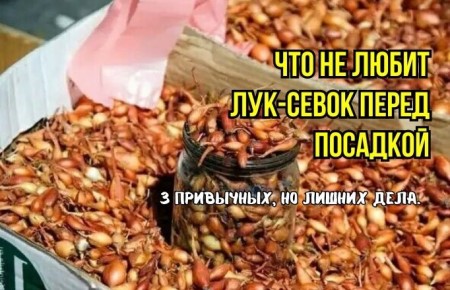 ������ � ������� ������� ����-�����: ��� ����� ��������, ����� �� �������� ������