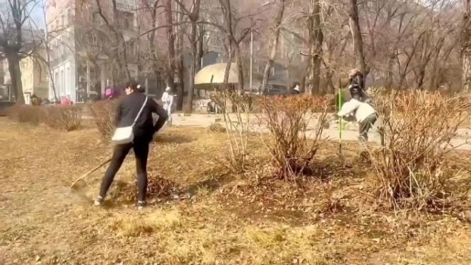 ������ �������: ������� ������ ������ ����������� �������, � � �������� ���� ������������� �������, ��� ����� �� ������ ������ �������� ������