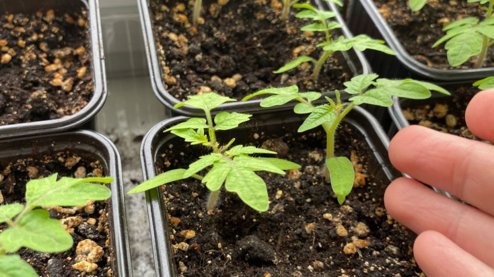 ��� ������� ������� ������� � �������� � ������� ������� ������� �� �����