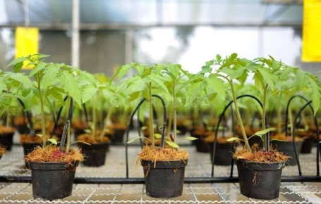 ��������� �������: ������� ��������� ����� ��� �������