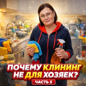 Профи-клининг: почему он не для домашних хозяйств?