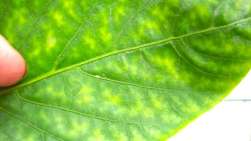 ��������� ����� �� ������� �����: ��� ��������������� � ��������� ������� ��������������