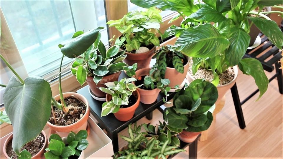 ������ � ��������� ��������� ��������, ������� �������� ���� ������� ����������