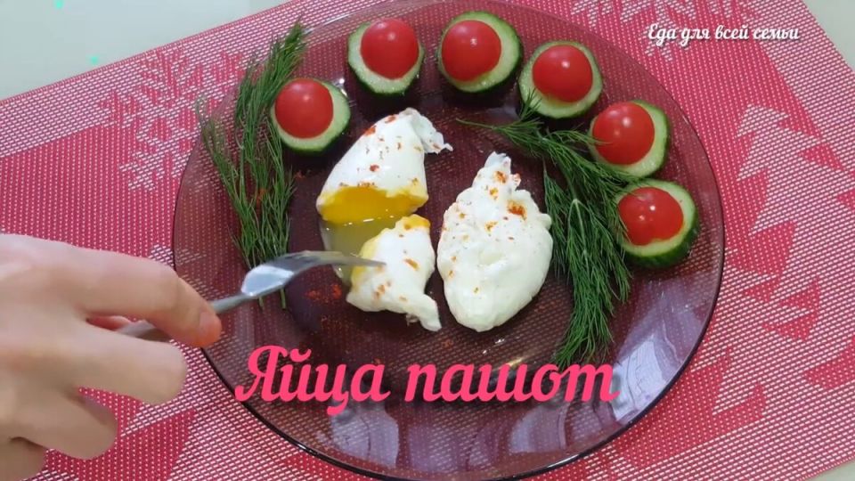 ���� �����: ������������ ������� � ����������� ������