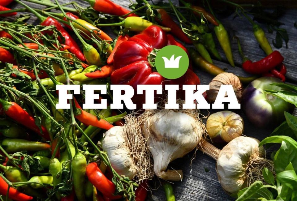 ��������� ����������: ������ ��� ���������� � ������� �����������