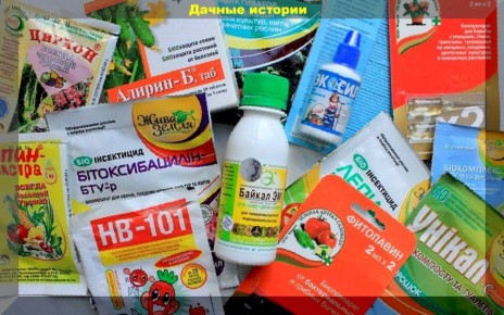 ��� ��������� ������������ �����: ������� ������� ��� ���������