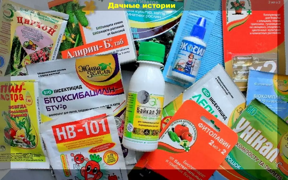 Как сохранить биопрепараты зимой: простые секреты для садоводов