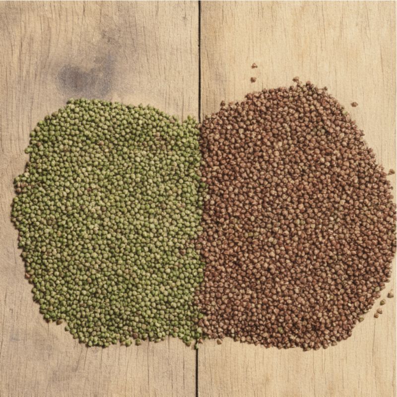 ������: ����� ����� ������� � ���������� ��� �������?