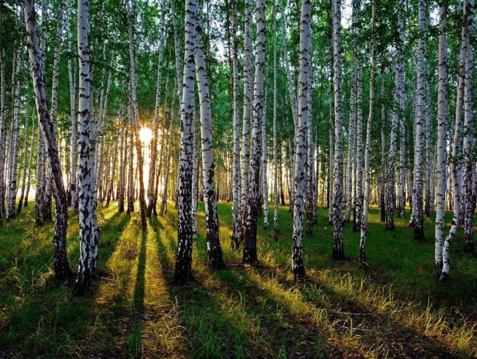 ������ ������ �� ����� ����������� �������� ������: ������������ �����