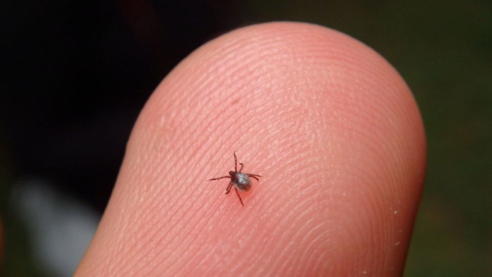 � ������� ���������� ������� ������������� ����� ���������� ������ ������