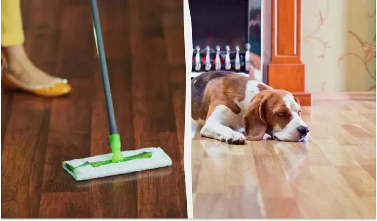 Как вернуть блеск вашему старому паркету: секреты эффективной уборки