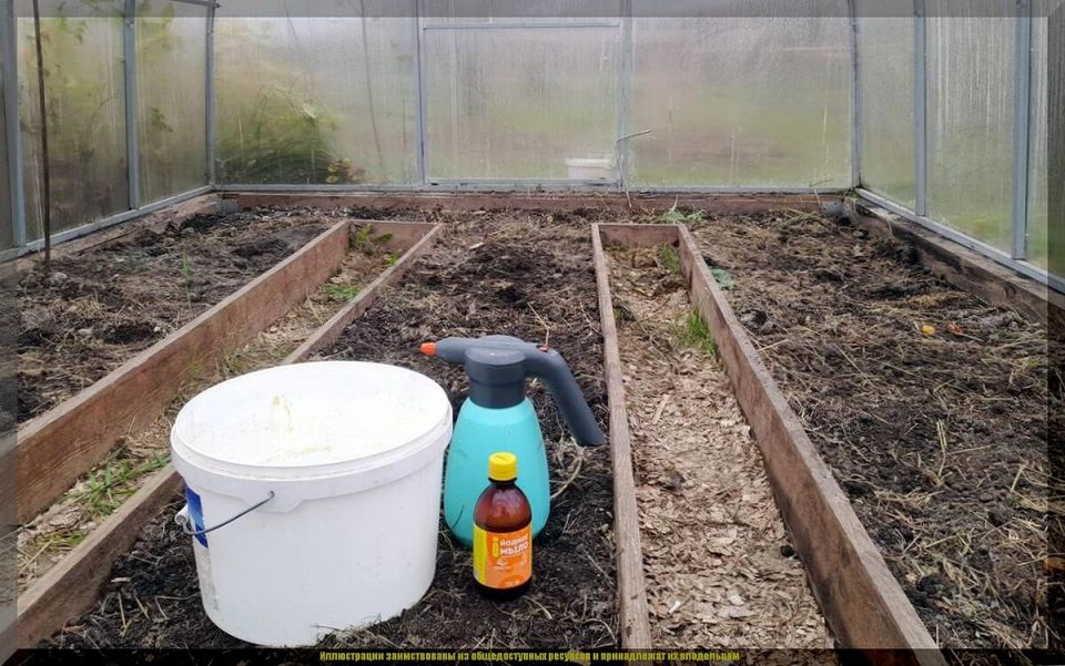 ��� ����������� ������� � ������ ������: ������ �� �������� � �������������� �����