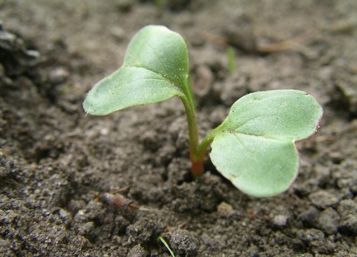 ��� ��������� ������������� ����� ��� ���������� �������� ������