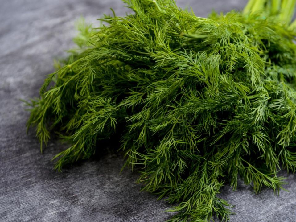 ����������� ������ �� �����������: ����� � �������