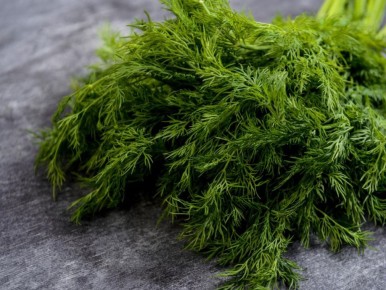 ����������� ������ �� �����������: ����� � �������