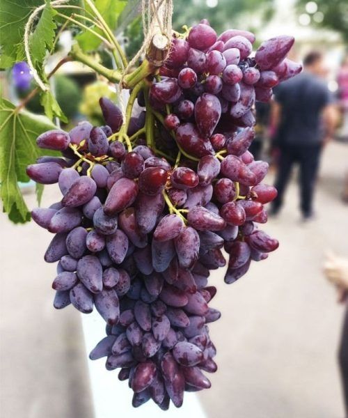 �������� �������: ������� ������ � �������� �����������