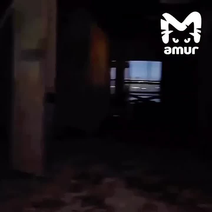 ����� ������� ��������� ���������� ������� ����� �� �������������