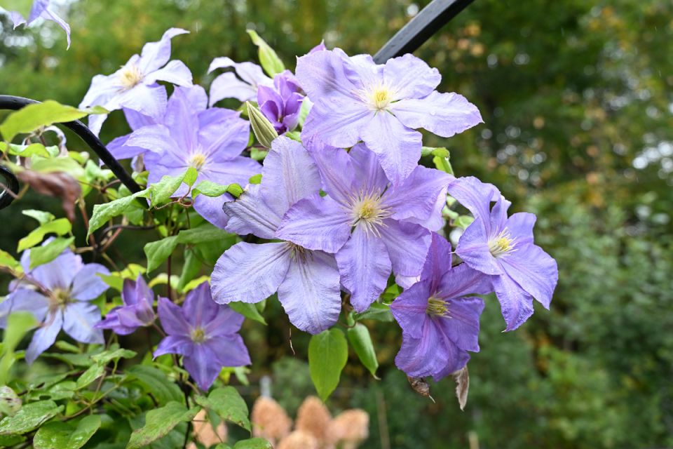 ������� ���������� �� ����: ��� ������� ��� ���������