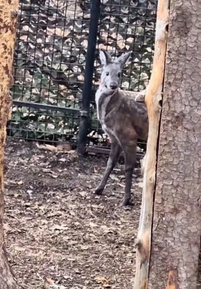 ����� ������� ���������� ������ ������������