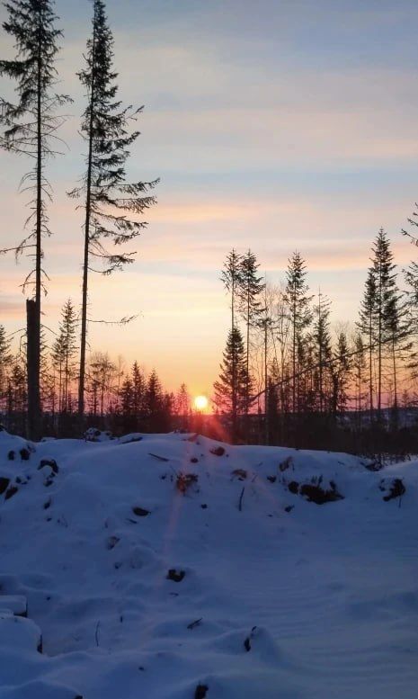 ������ � ����������� ����. ���������