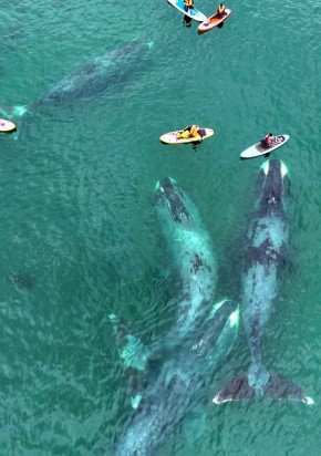 � ���������� ��������� �������� ������ ���������� ����������� ����. ����������� � �����