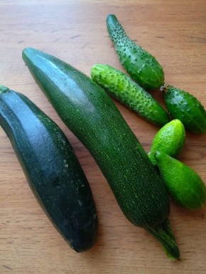 ������ ���� � ������ �������� � ��������, ������� ������ ����� ������