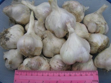 ��������� ������� ����� �������: ������� ��������� �����