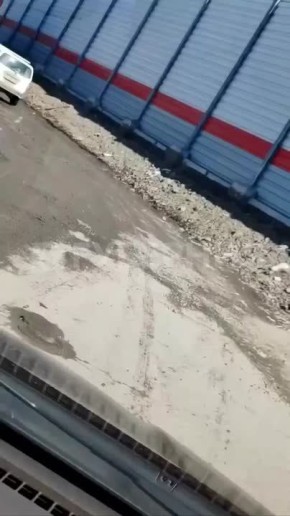 ���� �� ���� ���������� ���������� ��������� ������ ����������