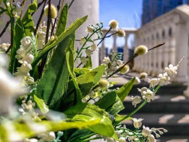 ������ �������, �������� ����, �������: �������� ��������� � �������