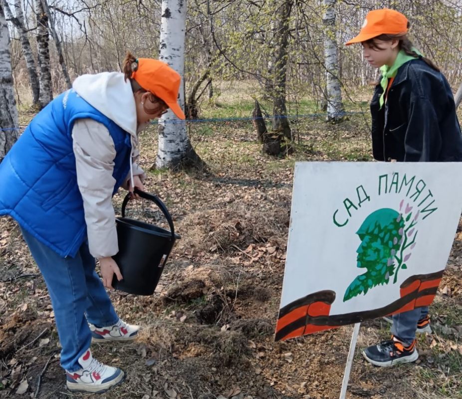 � ����������� ���� ���������� ���� ������ �� ������������� ���������