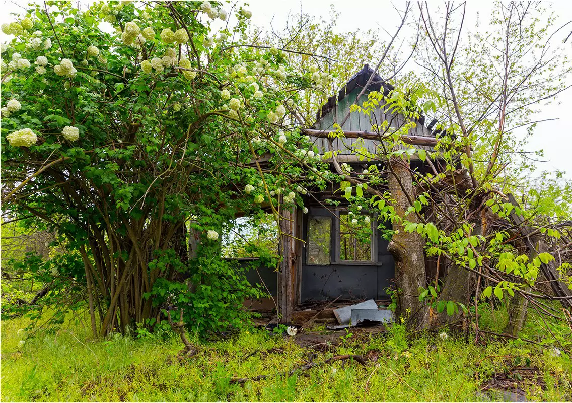 Новая реальность: как заброшенные участки рискуют быть изъятыми властями