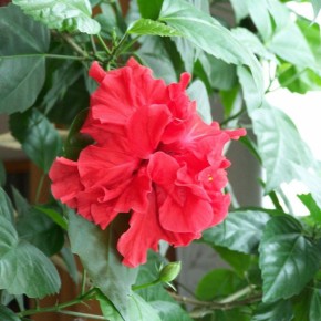 ��� �������� ���� �� ������ �����: �������� ������ ��� ���������