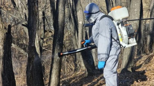 ����� � ������ ������������ ���� ������� � ����������� ���������