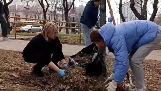 ������ �������: ������������ �� ���������� ������� ���������� ��� ������ �����