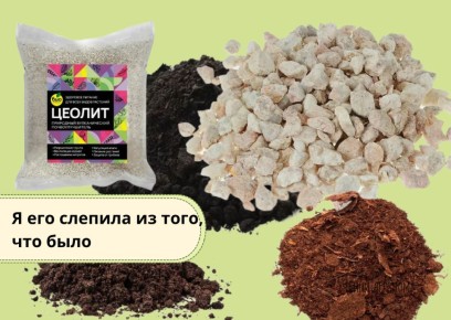 ����� ��� ������� ������ ������: ����� �� ���������?