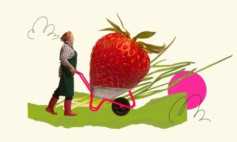 ��� ��������� ������������ ������� � ������������ �������� ��� ������ ��� ������