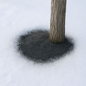 ��� ���� �������� �������� �������� �����