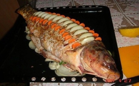 ��� ����������� ����� ��-���������: ��� �� ����� � ����������� �������