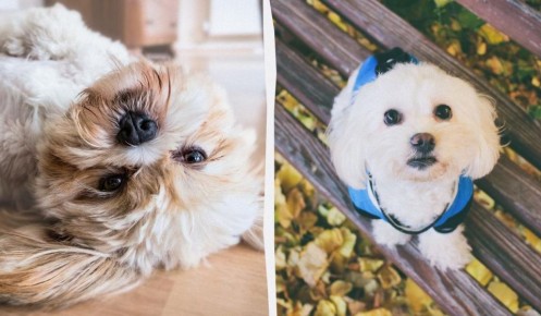 ������� ����������: ����� ������ ����� ������ �����