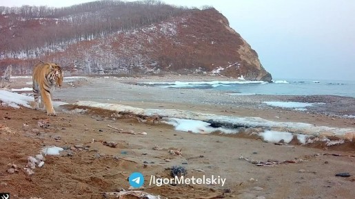 ��������� ����� ������� �� ���������� �����