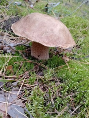 ������� �����: ���� ������ ������ ������� � �������� ��������