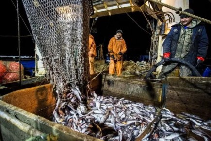 � ����������� ���� ����� ����� ����� � 2026 ���� ����� �� 2,6%