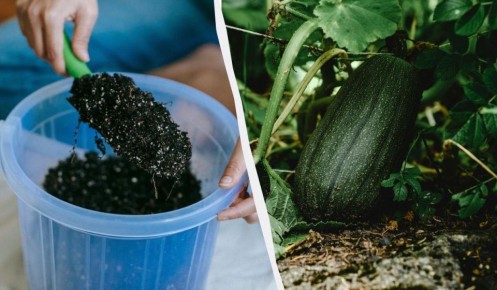 ��� ���������� ������� � ���� ��� ������� ������: ������� ������� �����������